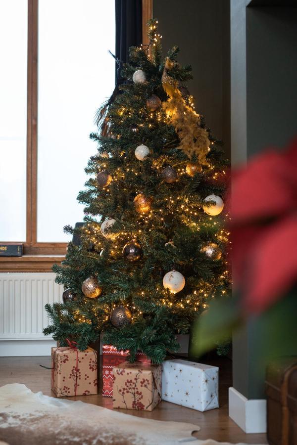 Cosy Nock ! Little Gem At City Center With Large Terrace ! Breda Esterno foto